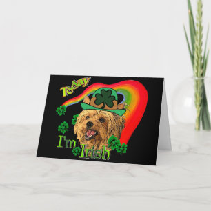 Carte St. Patrick's Yorkshire Terrier