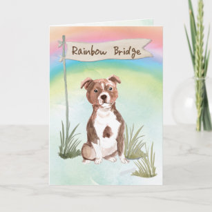 Carte Staffordshire Bull Terrier Pet Sympathie Rainbow