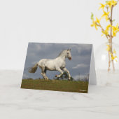 Carte Stallion andalou gris contre le ciel (Fleur jaune)