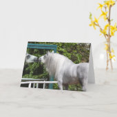 Carte Stallion Andalou Gris Regardant En Miroir (Fleur jaune)