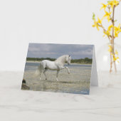 Carte Stallion Andalou Gris Se Trouvant Dans Le Lac (Fleur jaune)