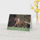 Carte Stallion Arabe Courant Fluant Mane Et Queue (Fleur jaune)