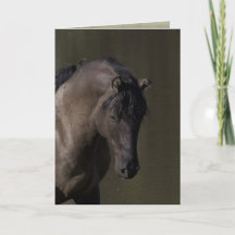 Stallion au Waterhole Wild Horse Greeting Card