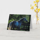 Carte Stallion Hanoverian gris pomme debout (Fleur jaune)