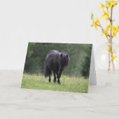 Carte Stallion noir de Shetland Pony marchant (Fleur jaune)