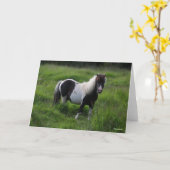 Carte Stallion Pony Shetland Se Trouvant Dans L'Herbe (Fleur jaune)