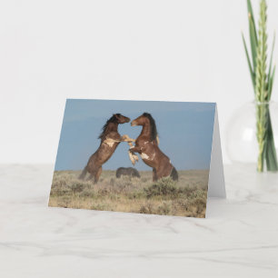 Carte Stallions de Cheval Sauvage combattant