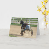 Carte Standard (Fleur jaune)