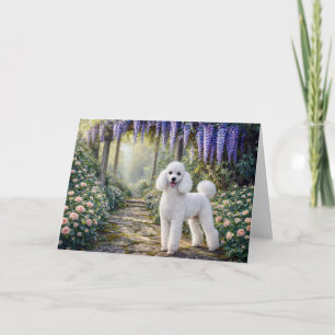 Carte standard de jardin Caniche