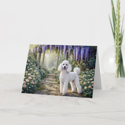 Carte standard de jardin Caniche (Devant)