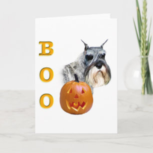 Carte Standard Schnauzer Boo