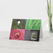 Carte Star Gazing Randonneur (Dos)