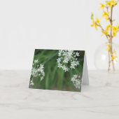 Carte Starburst (Fleur jaune)