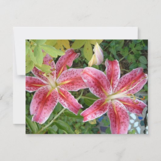 Carte Stargazer Lilies Jardin Floral (Devant)