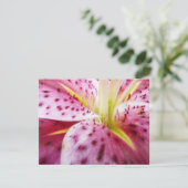 Carte Stargazer Lily brillant Magenta Floral (Debout devant)