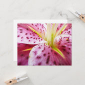 Carte Stargazer Lily brillant Magenta Floral (Devant/Arrière en situation)