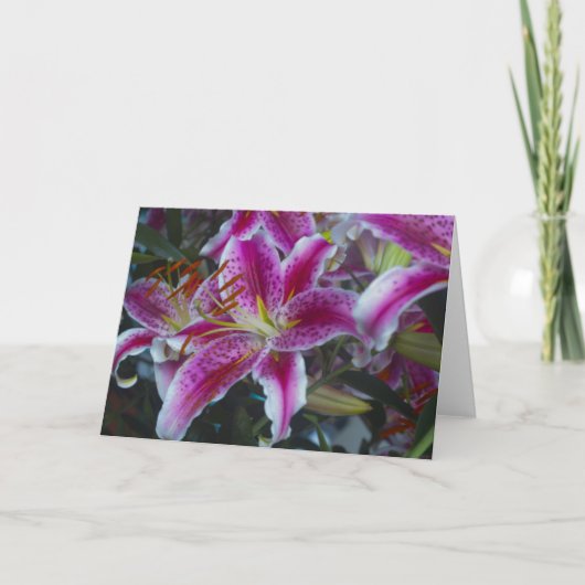 Carte Stargazer Lys rose & Magenta (Devant)