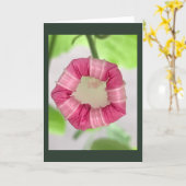 Carte Starlight Mint Morning Glory Blank (Fleur jaune)