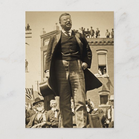 Carte Stereoview Teddy Roosevelt 1905 Vintage (Devant)