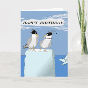Carte Sternes sauvages -- Joyeux anniversaire