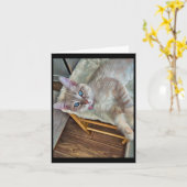 Carte Sticker pour chaton perché (Fleur jaune)