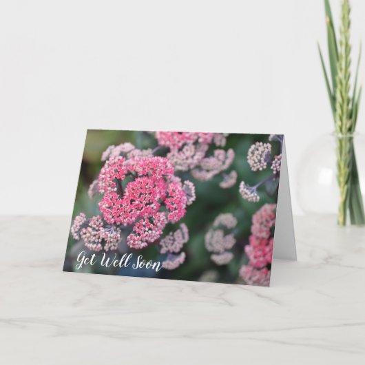 Carte Stonecup Papillon rose et blanc s'améliore bientôt (Devant)