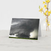 CARTE STORM 7 (Fleur jaune)