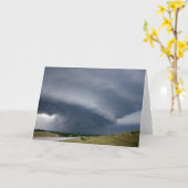 CARTE STORM 8 (Fleur jaune)