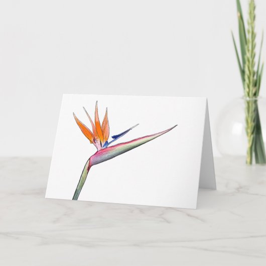 Carte Strelitzia (Devant)