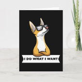 Carte Stubborn Podenco (Devant)