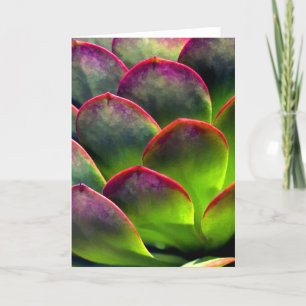 Carte Succulent du désert au soleil et à l'ombre