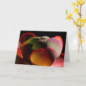 Carte Succulent Plante du désert (Fleur jaune)