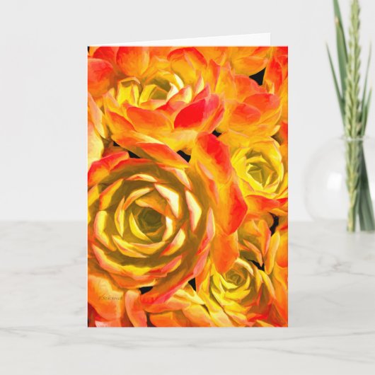 Carte Succulent Plante Echeveria (Devant)