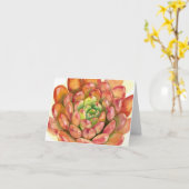 Carte Succulent Sedeveria 'Pink Ruby' watercolor by DLB (Fleur jaune)