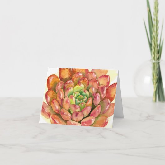 Carte Succulent Sedeveria 'Pink Ruby' watercolor by DLB (Devant)