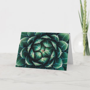 Carte Succulent vert et blanc