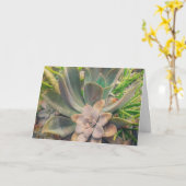 Carte Succulentes, Fête des Mères (Fleur jaune)