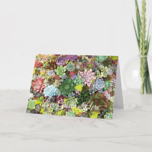 Carte Succulents colorés