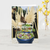 Carte Succulents colorés à l'herbe argentée (Fleur jaune)