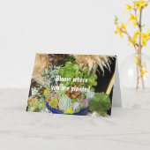 Carte Succulents colorés à l'herbe argentée (Fleur jaune)