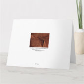 Carte Suède Brown Avec Sangle Et Boucle (Dos)