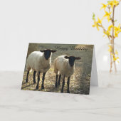 Carte Suffolk Sheep Joyeux Anniversaire De nous à l'Ewe! (Fleur jaune)
