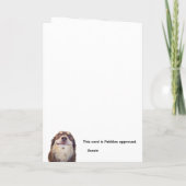 Carte Suis-je le drame ? (Dos)