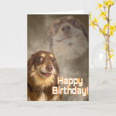 Carte Suis-je le drame ? (Fleur jaune)