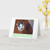 Carte Suit d'anniversaire (Fleur jaune)