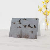 Carte Suivez votre coeur - oies (Fleur jaune)