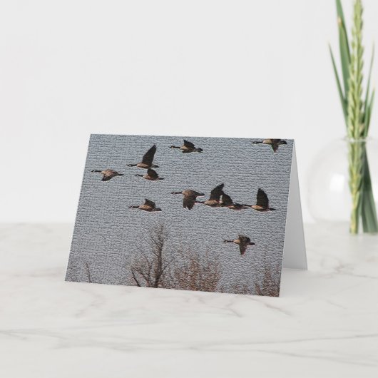 Carte Suivez votre coeur - oies (Devant)