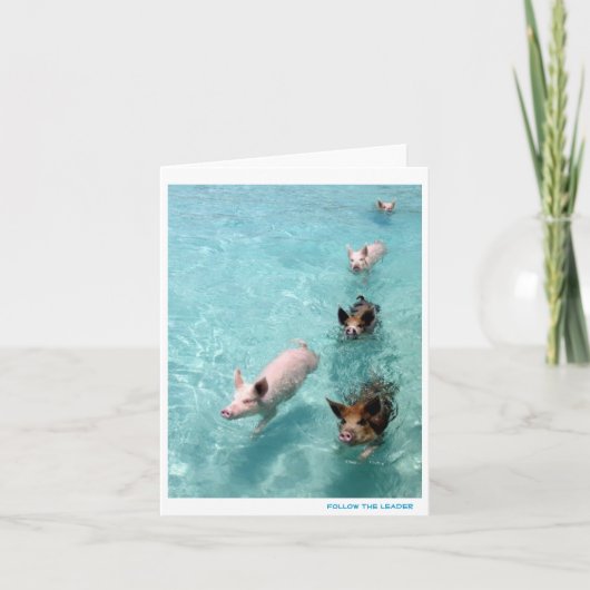 Carte Suiviste (Devant)