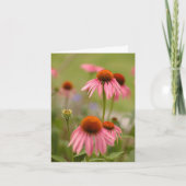 Carte Summer en Bohemia (Devant)