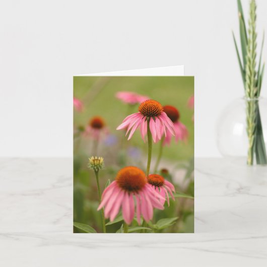 Carte Summer en Bohemia (Devant)